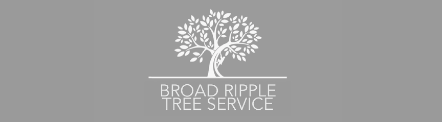 Broad Ripple Tree Service, Inc gallery 2