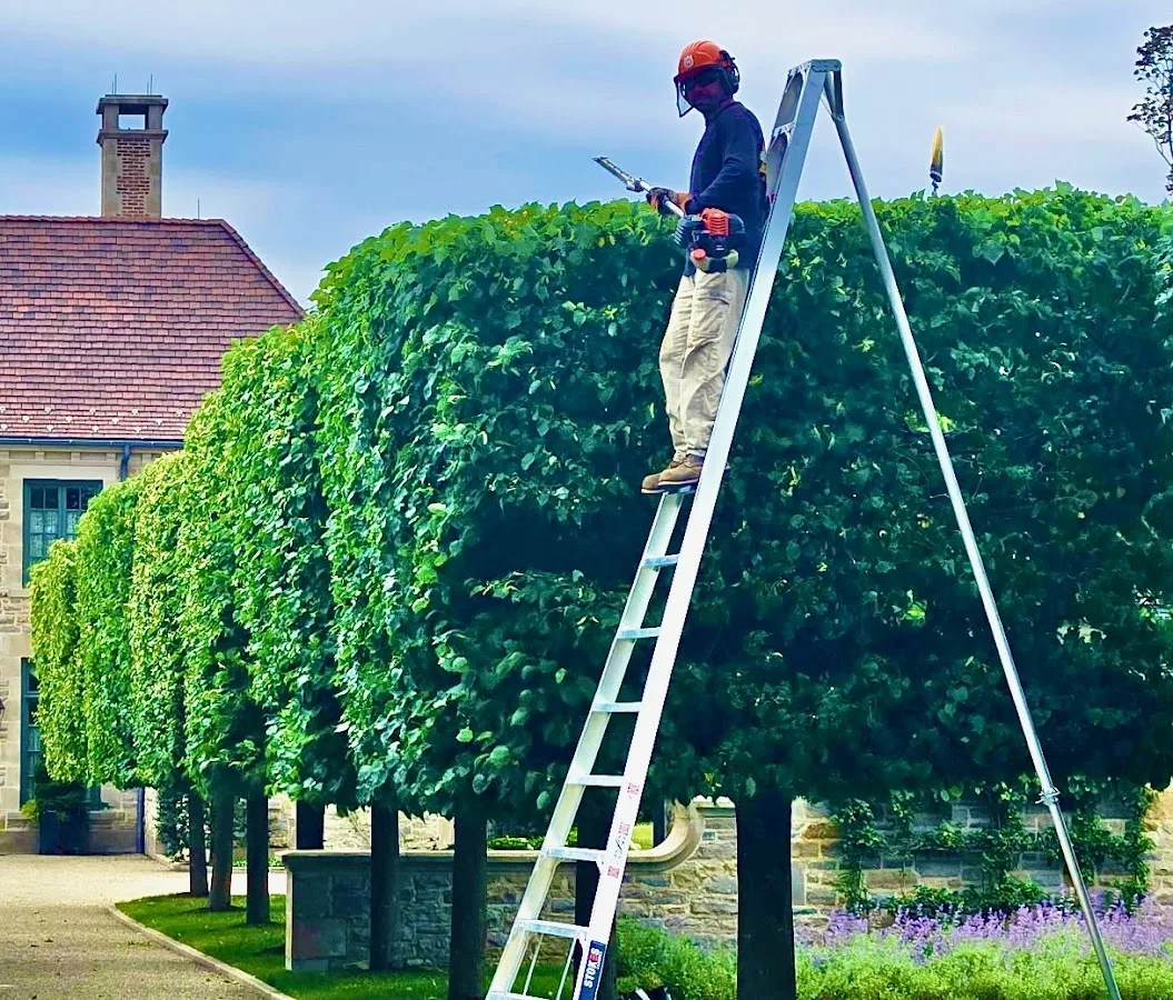 Brown & Co Tree Specialists