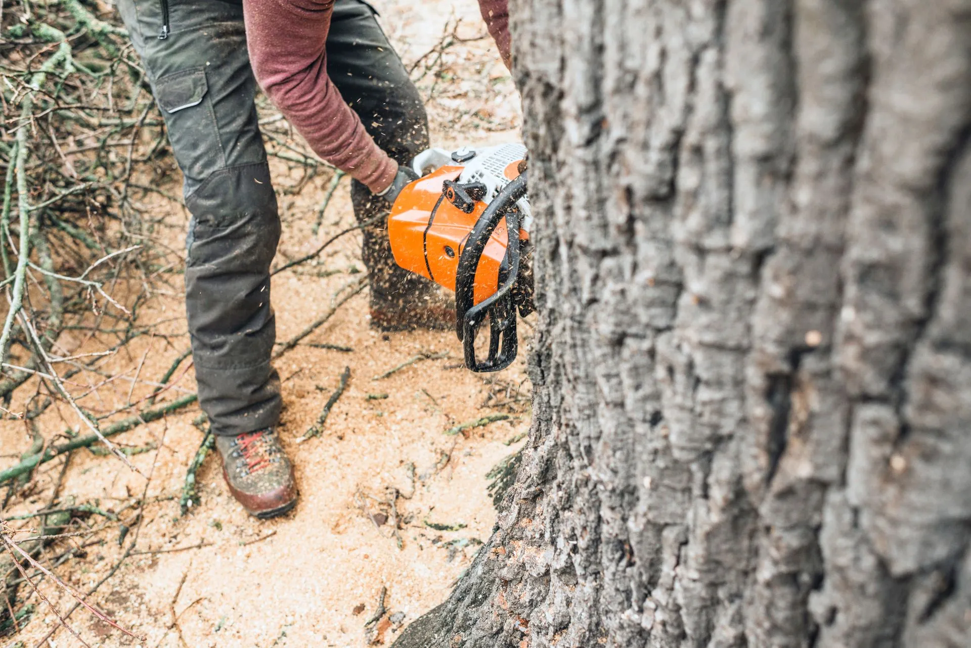 Bulldogs Tree Service gallery 5