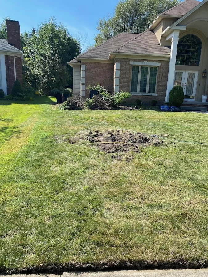 Bump & Grind Stump Removal