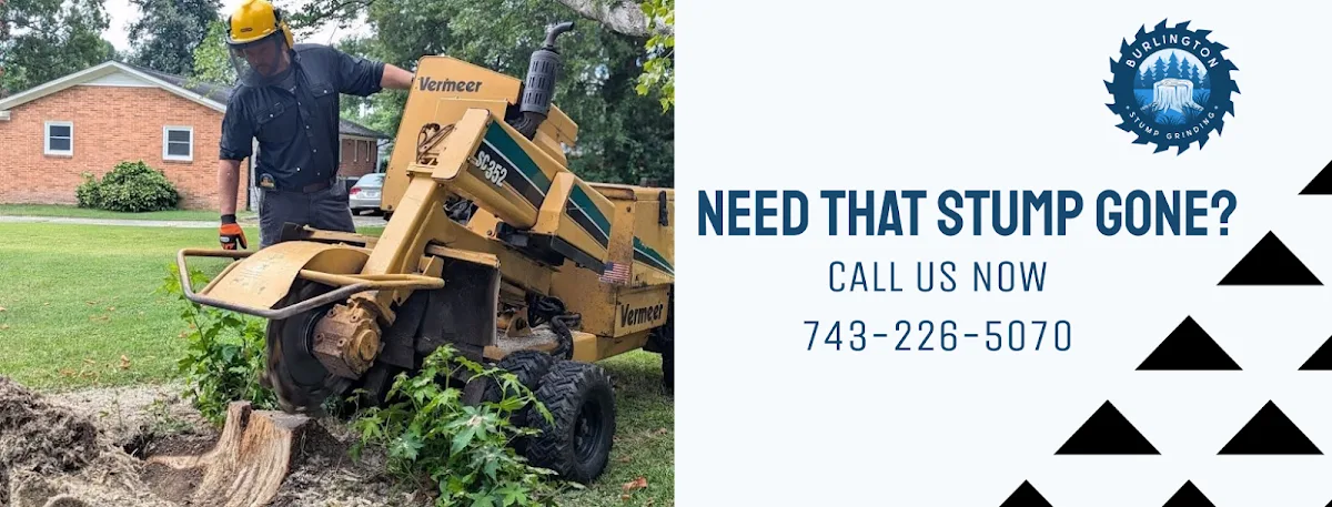 Burlington Stump Grinding