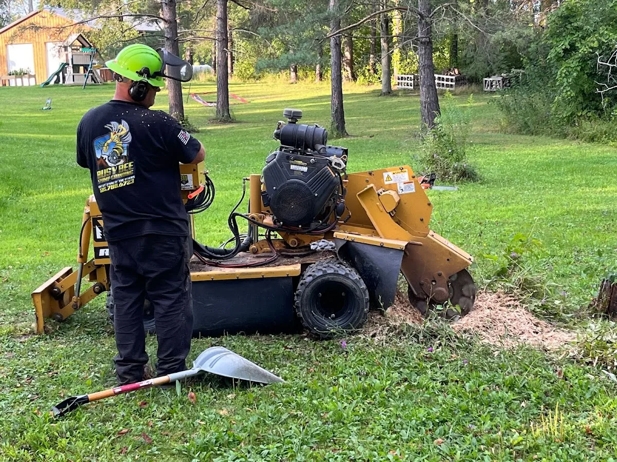 Busy Bee Stump Grinding