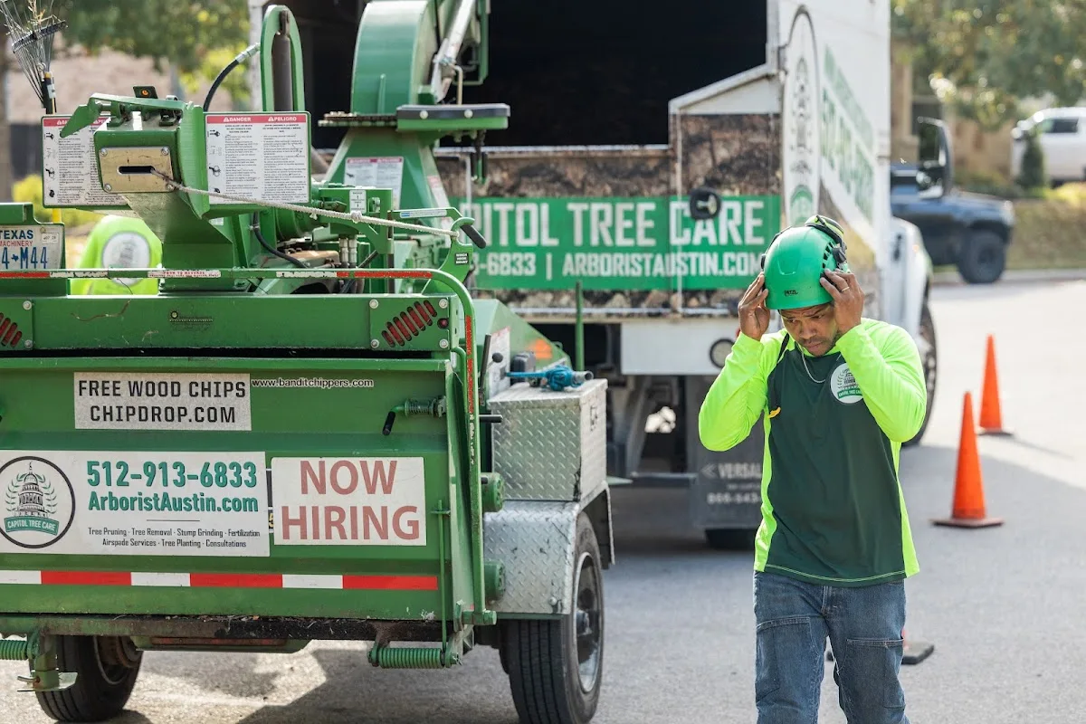 Capitol Tree Care gallery 2