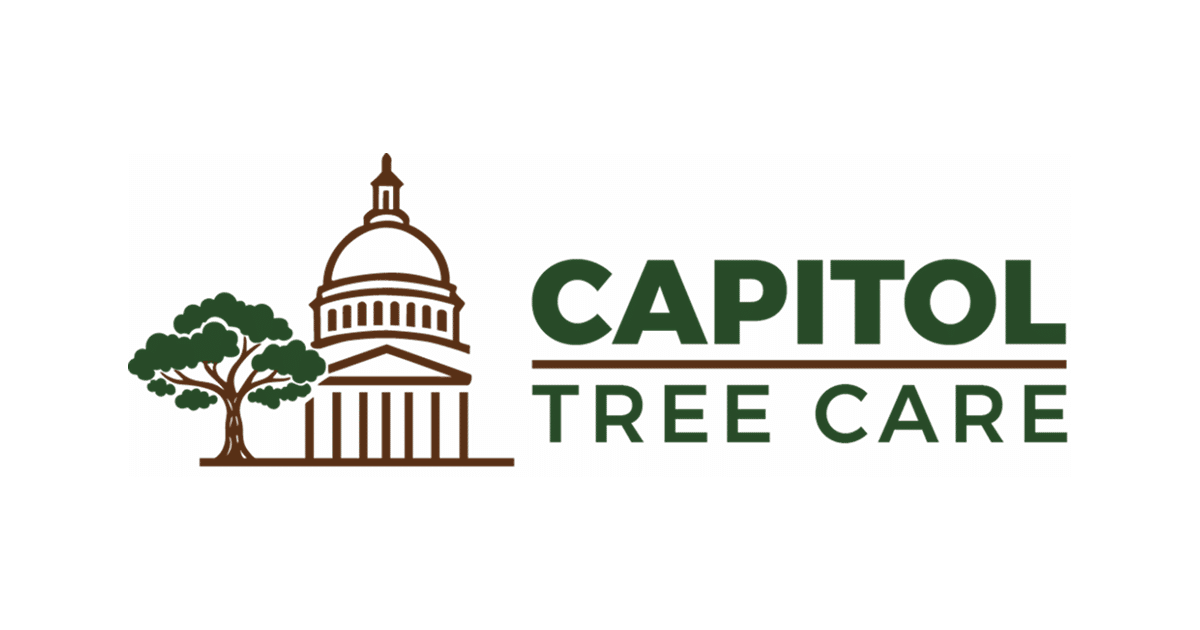 Capitol Tree Care gallery 3