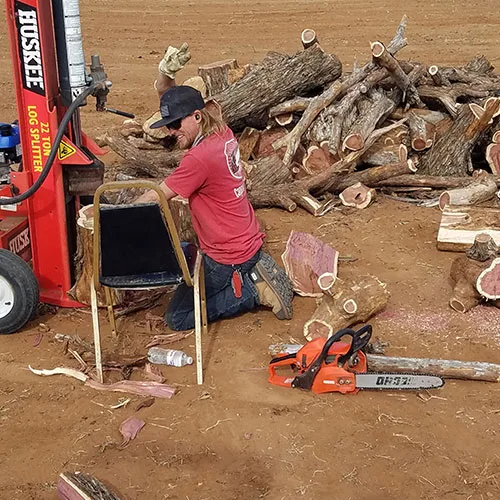 Caprock Tree Removal gallery 5