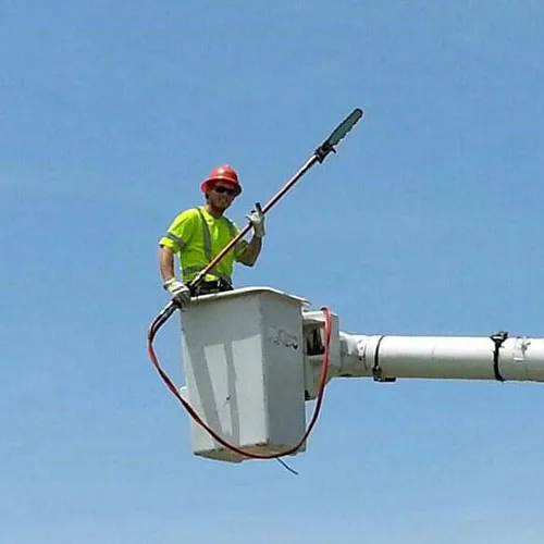Caprock Tree Removal gallery 7