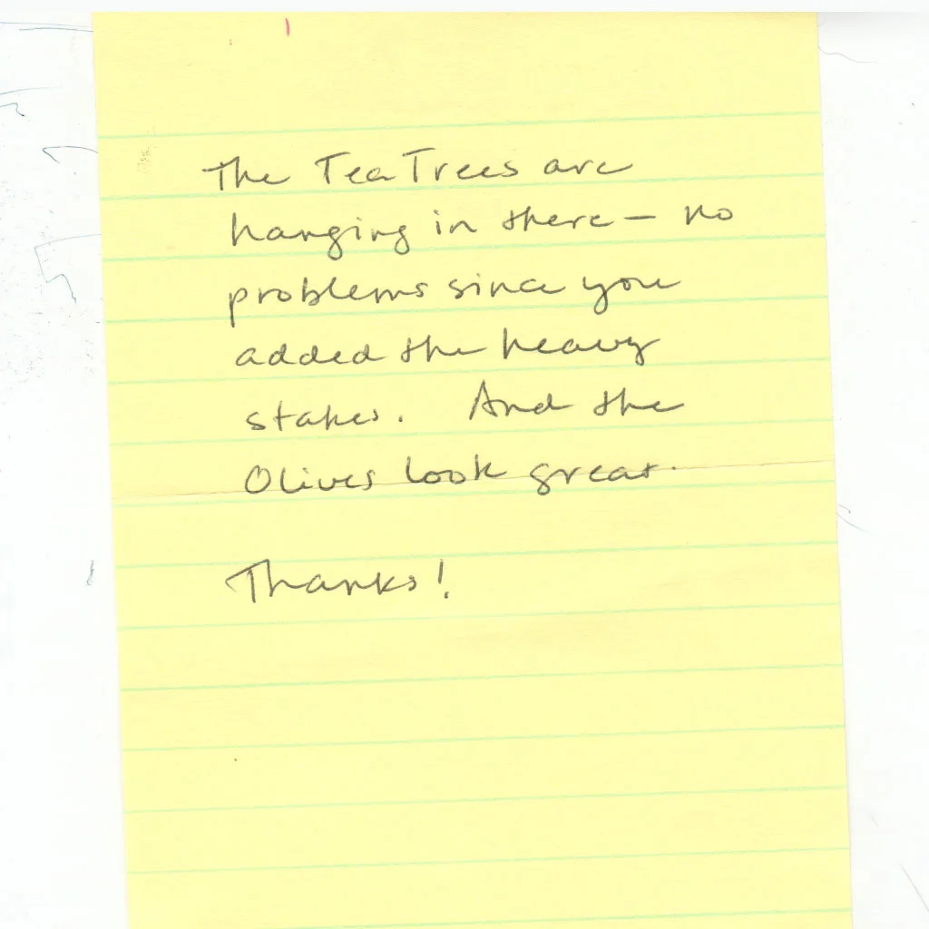 CC Tree Design gallery 9