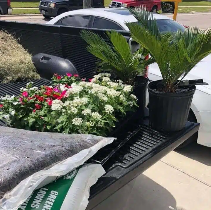 CC Tree Service gallery 6