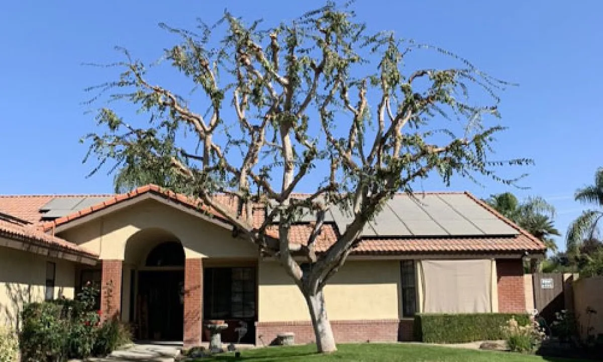 Central Valley Tree Service