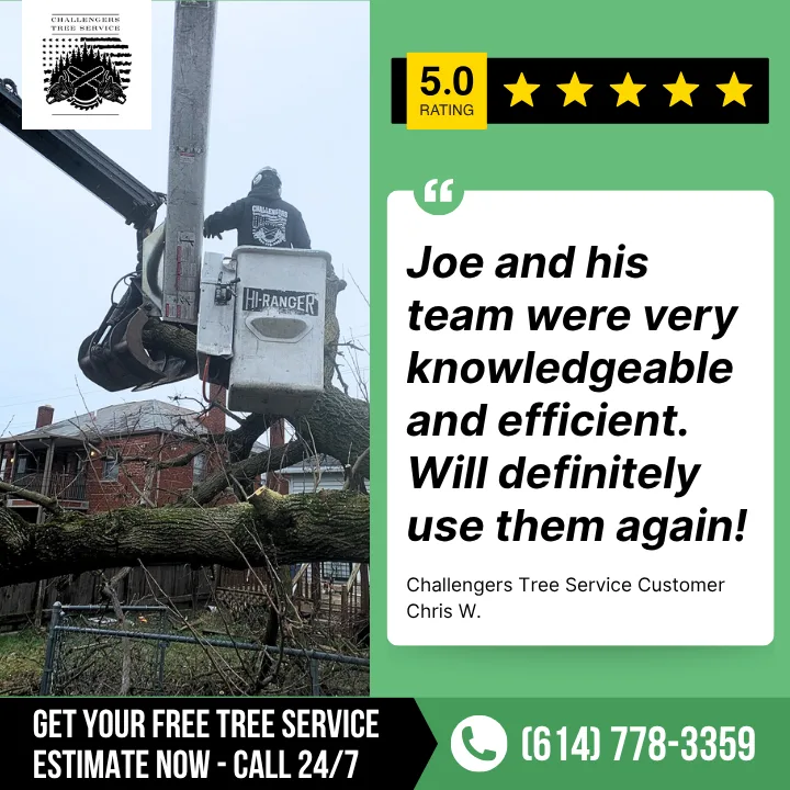 Challengers Tree Service gallery 2