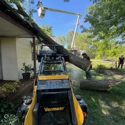 Challengers Tree Service gallery 5