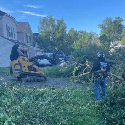 Challengers Tree Service gallery 7