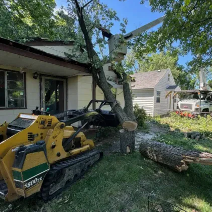 Challengers Tree Service gallery 10