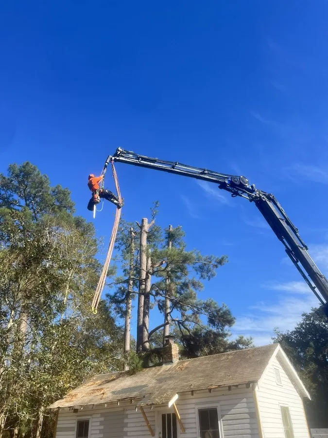 Charleston Tree Experts - SavATree