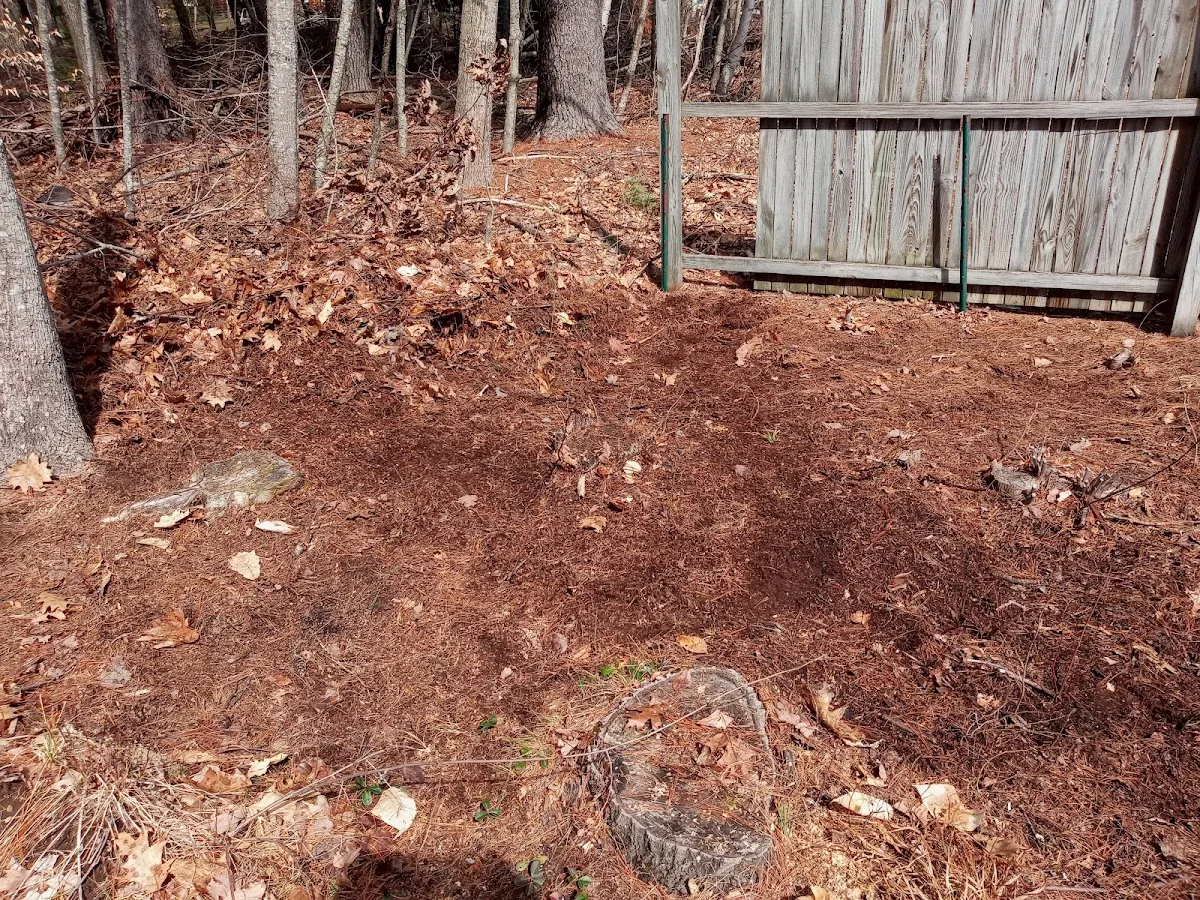 Chippy's stump grinding