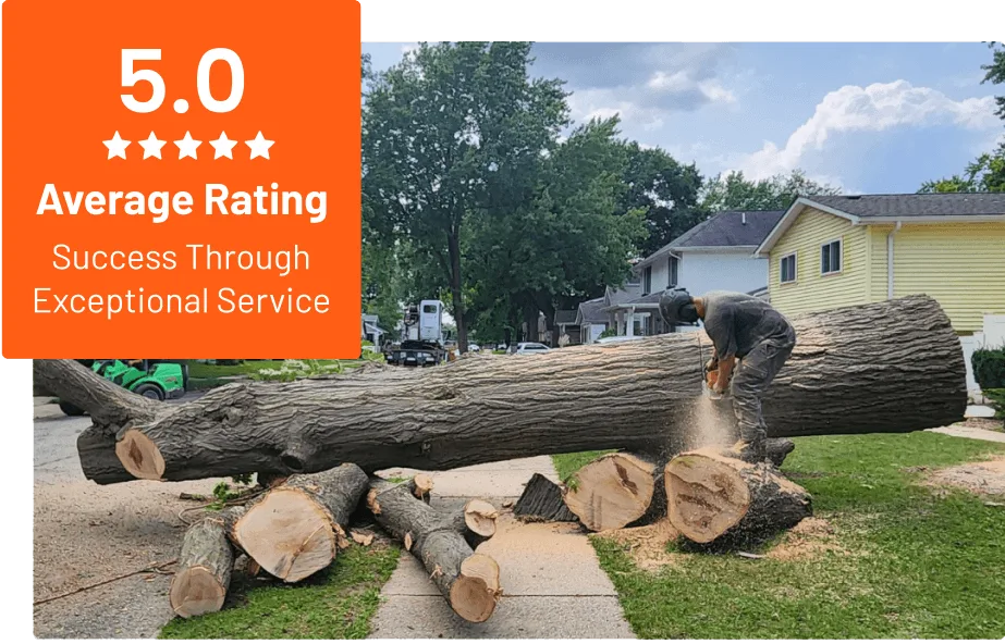 Clean Cut Tree Experts gallery 6