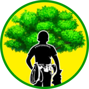 Clear View Tree Services LLC gallery 3