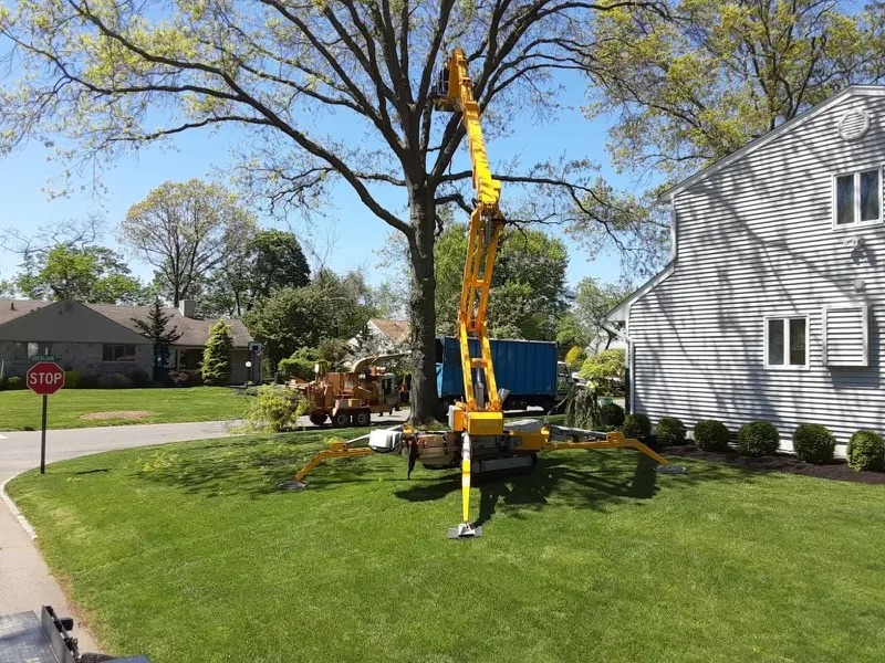 Clearview Tree Service in Jamaica, NY: What to Check Before You Approve a Tree Work Quote