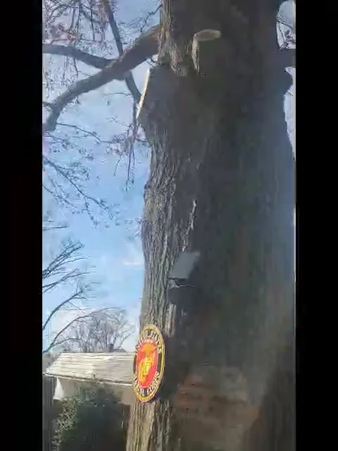Climbing Brothers LLC