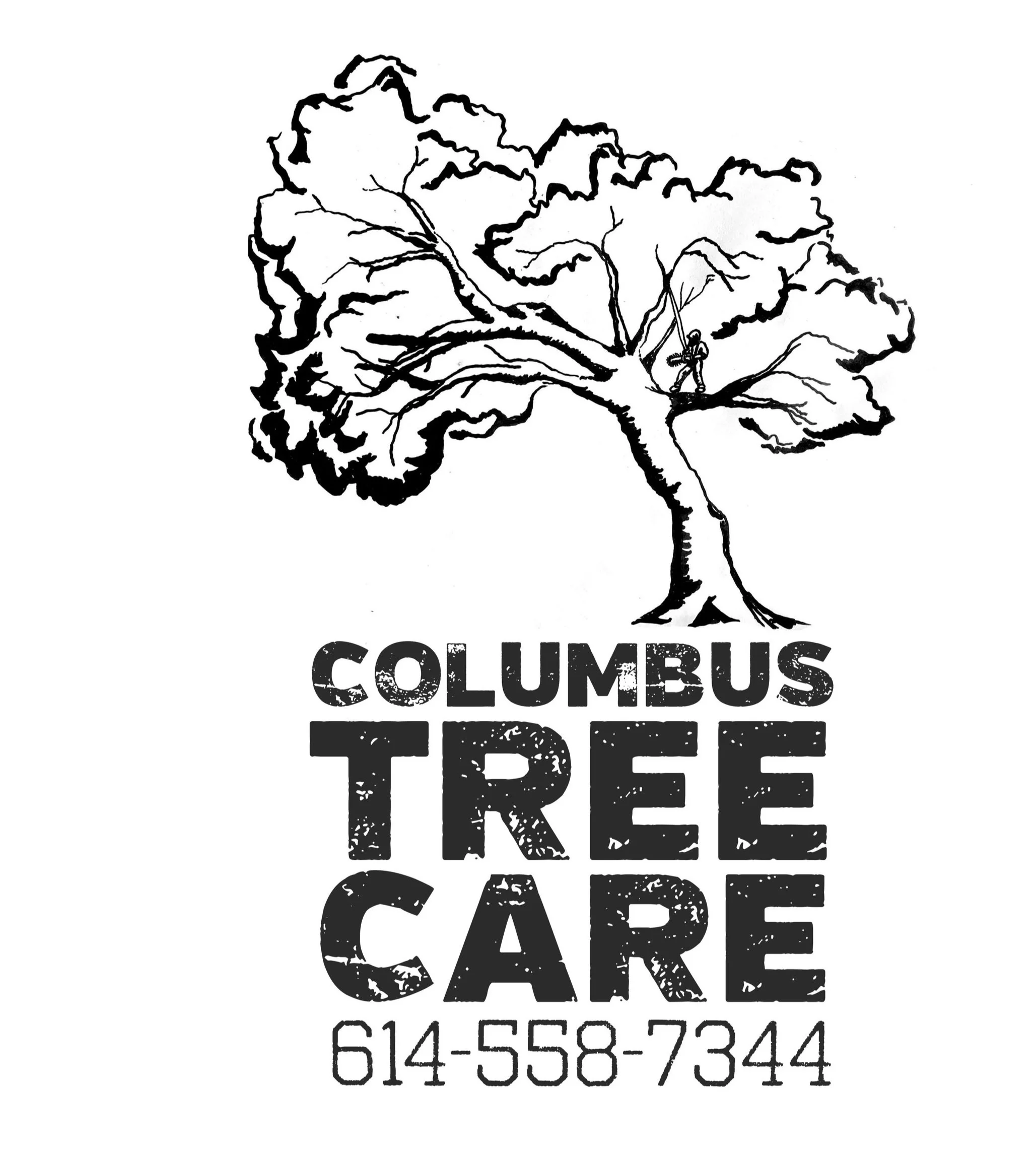 Columbus Tree Care gallery 3