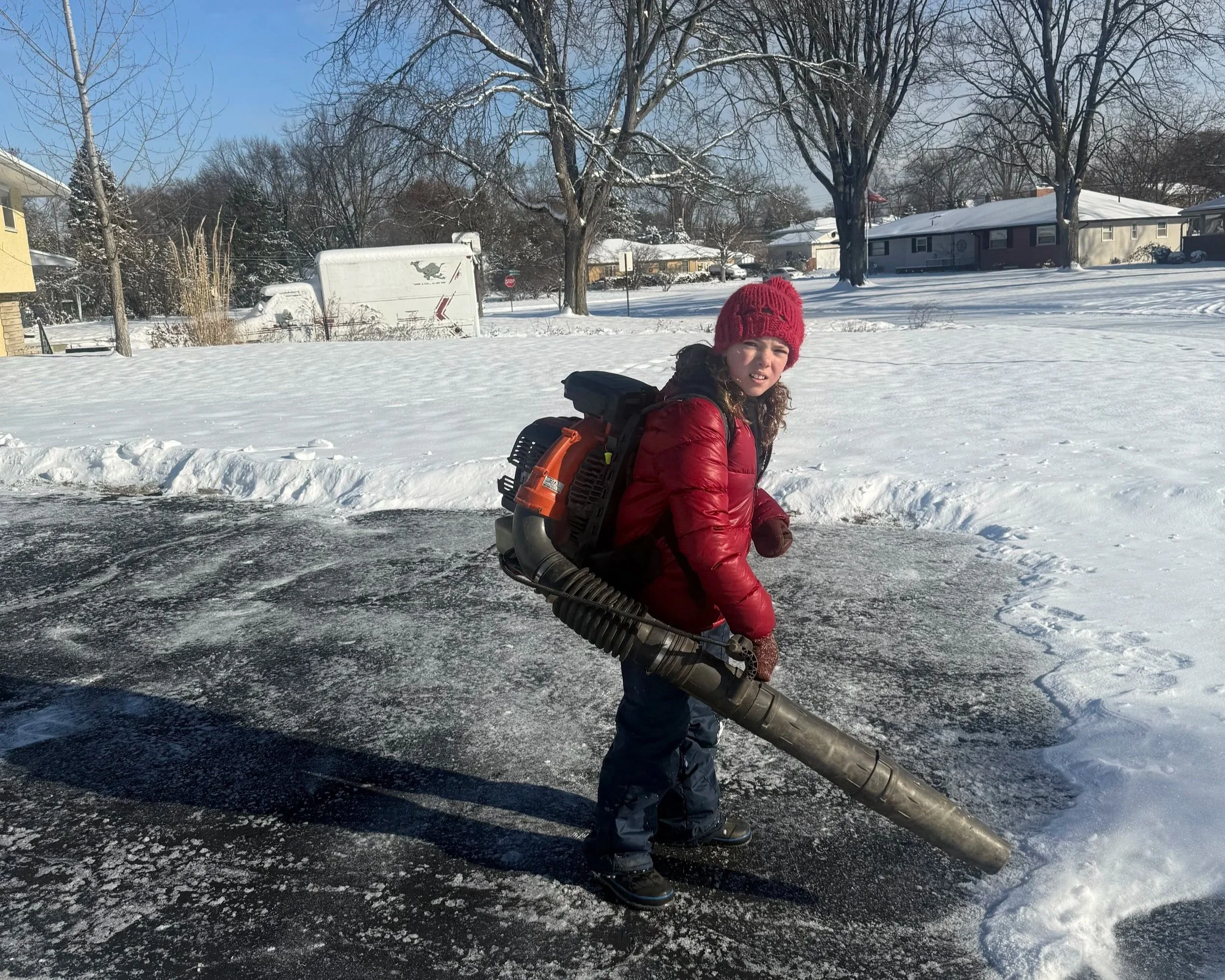 Columbus Tree Care gallery 6