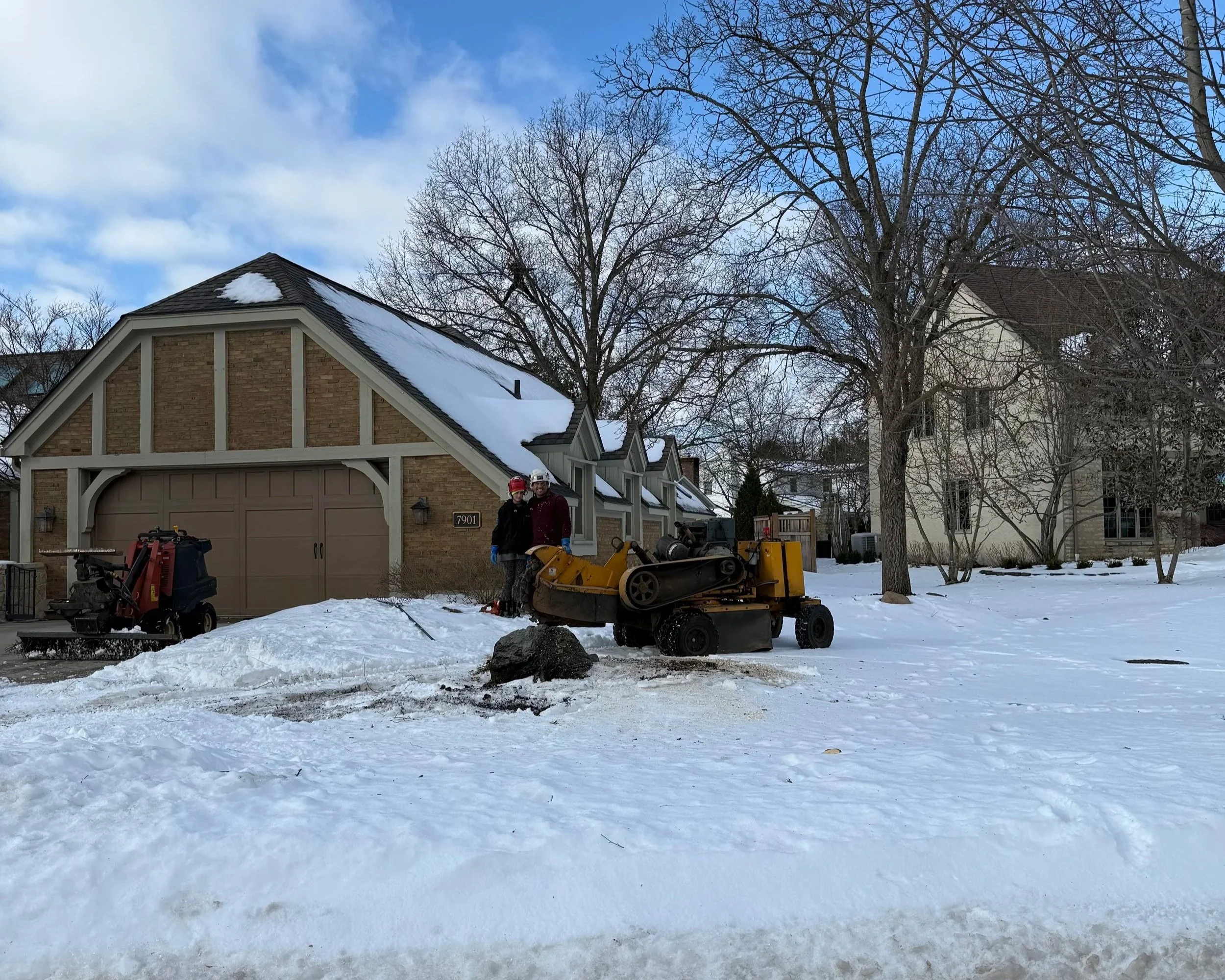 Columbus Tree Care gallery 7