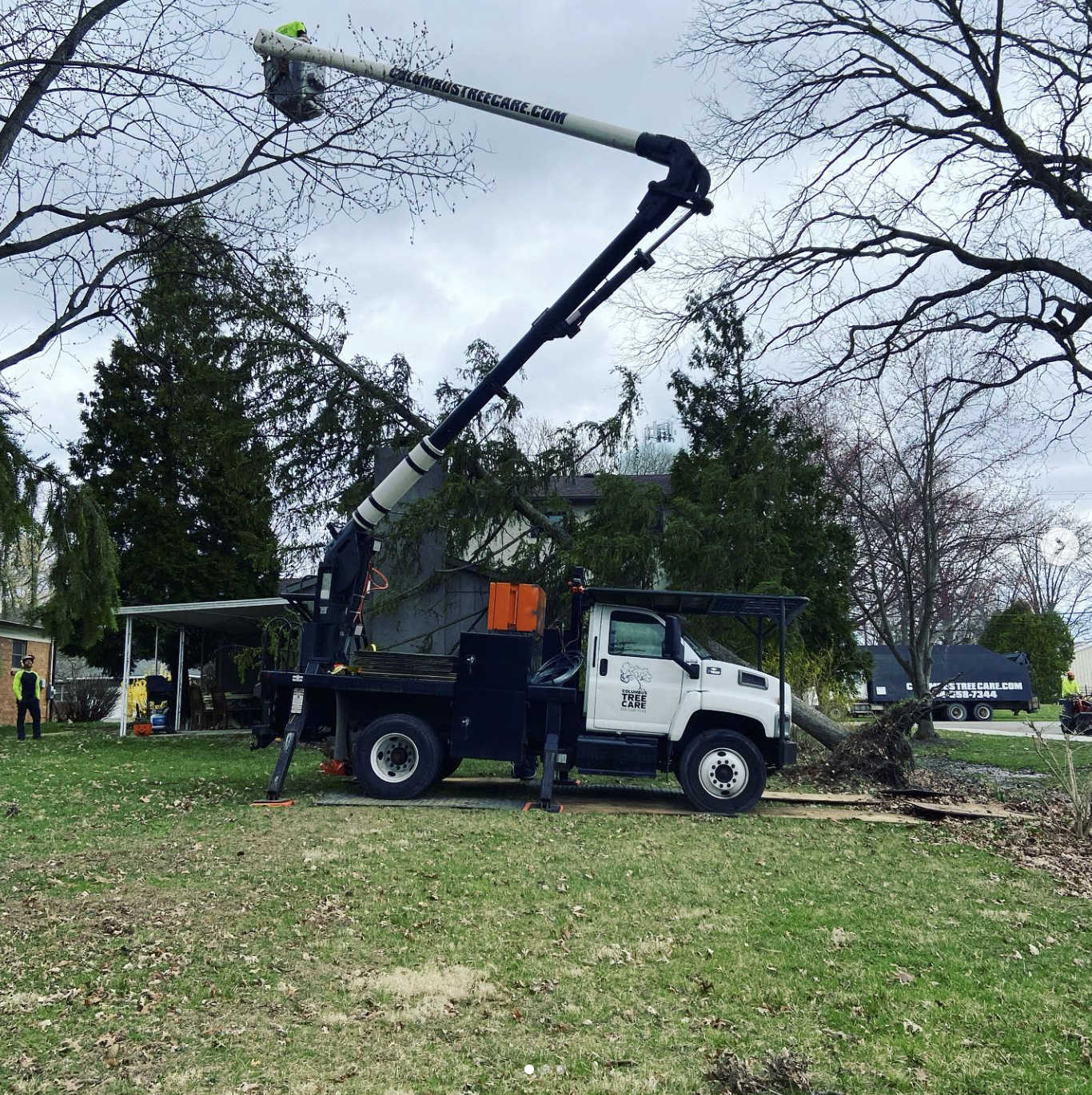 Columbus Tree Care gallery 8
