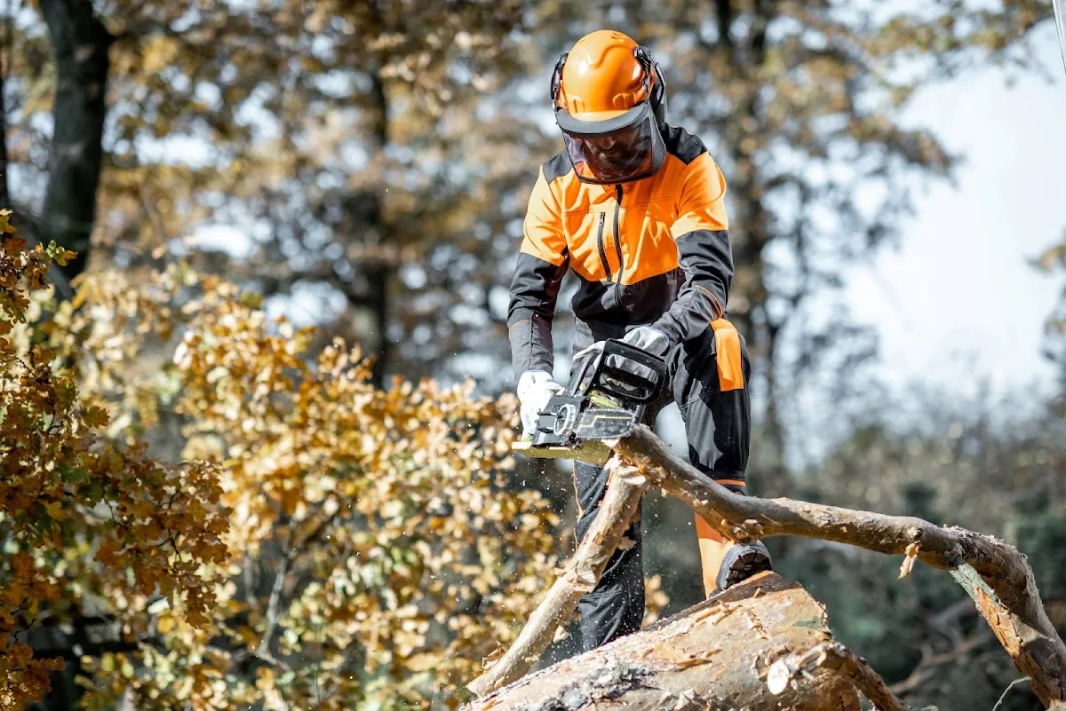 Columbus Tree Service Experts.