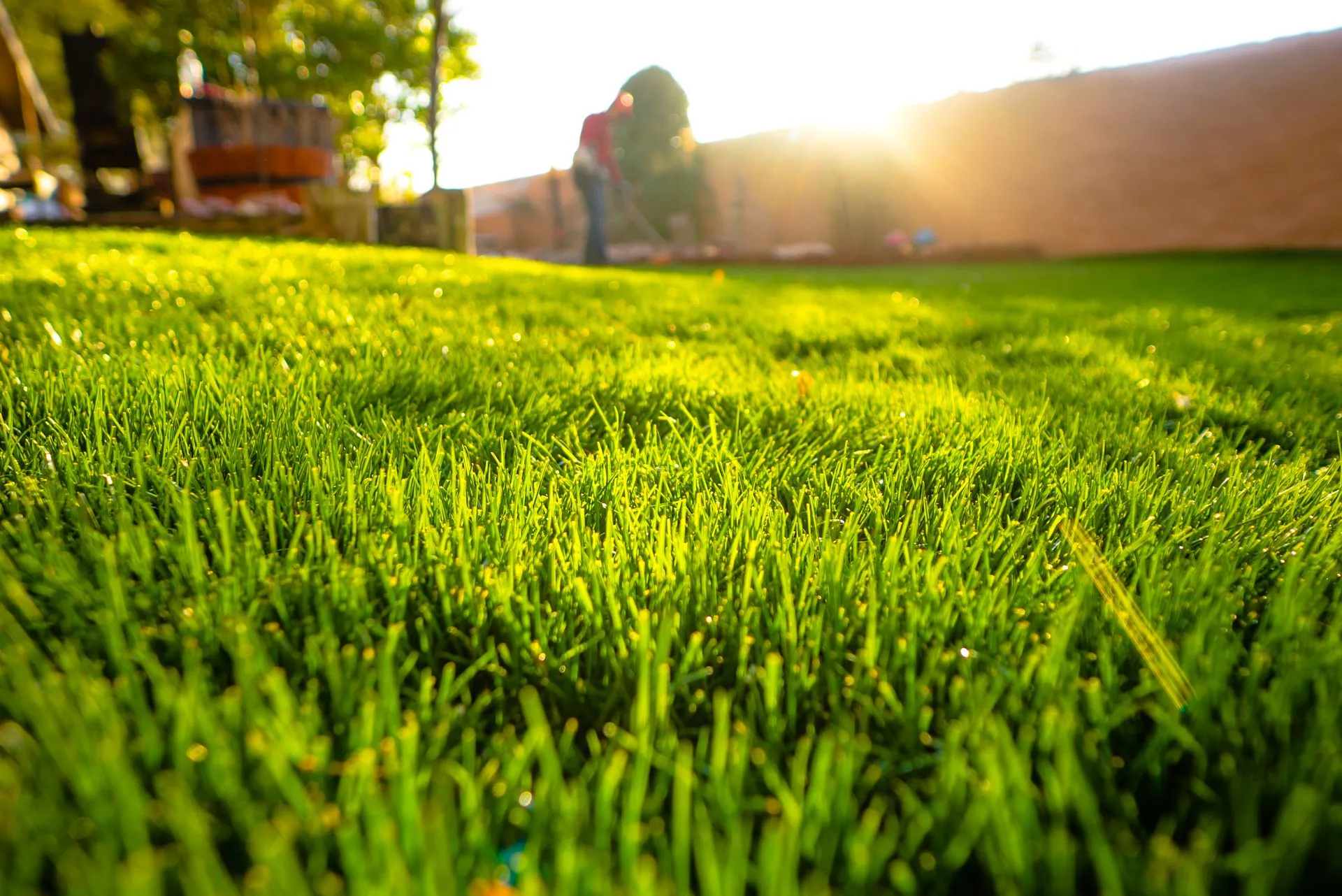 Complete Lawn Care gallery 6
