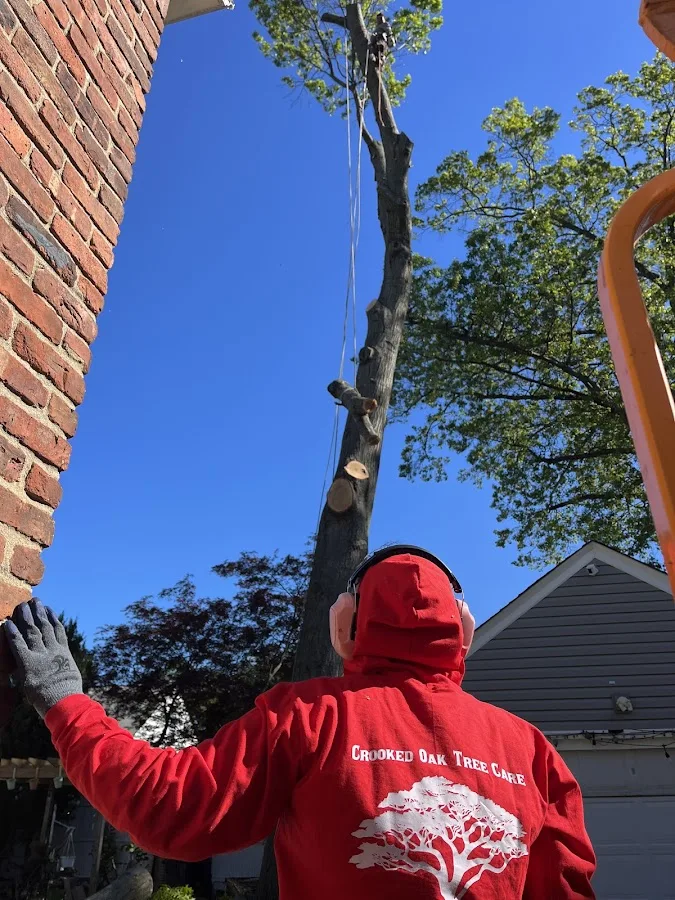 Crooked Oak Tree Care LLC