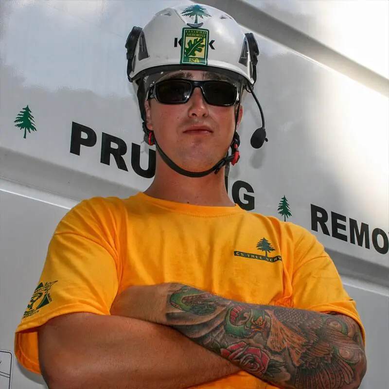 CS Tree Services Inc gallery 6