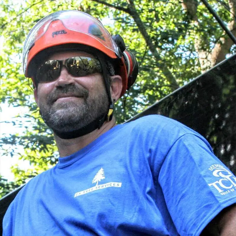 CS Tree Services Inc gallery 7