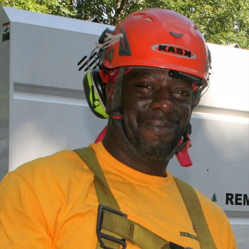CS Tree Services Inc gallery 8