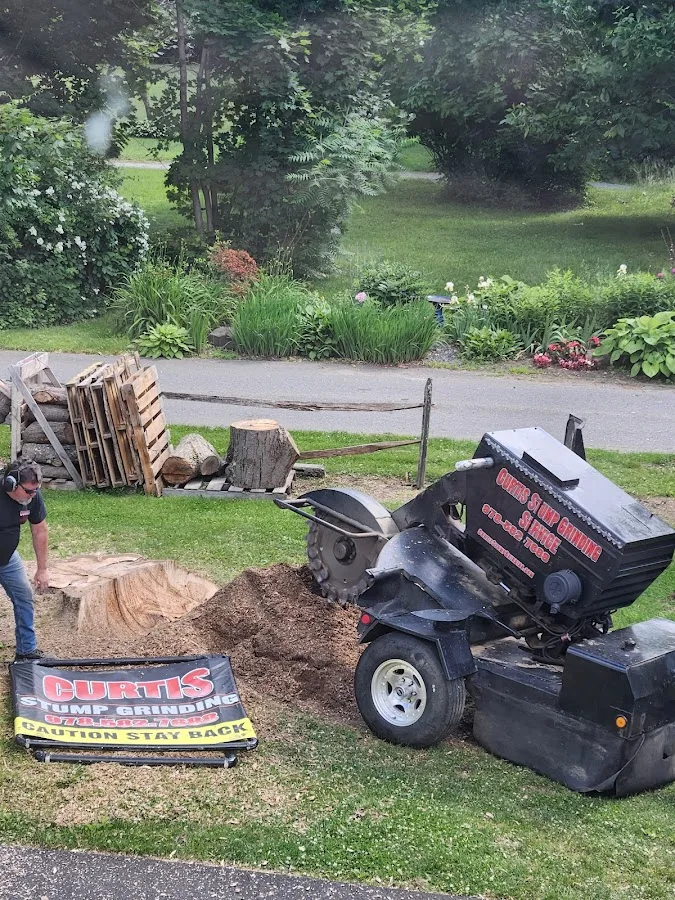 Curtis Stump Grinding Service