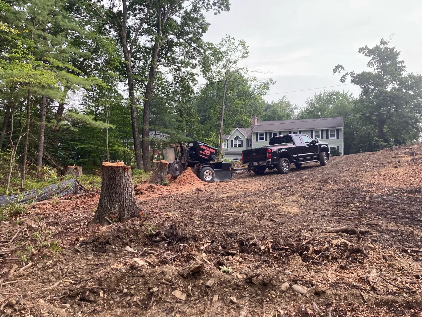 Curtis Stump Grinding Service gallery 5