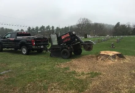 Curtis Stump Grinding Service gallery 8