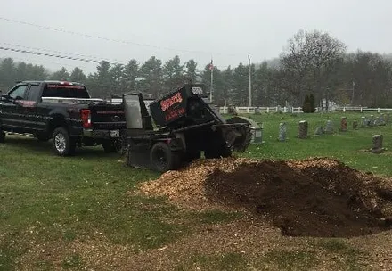 Curtis Stump Grinding Service gallery 9