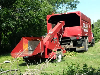 Dallas Tree Service gallery 2
