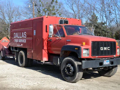 Dallas Tree Service gallery 6