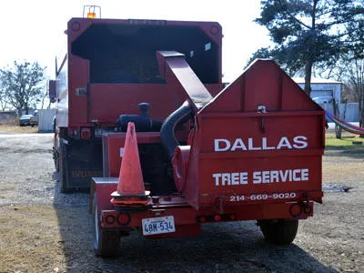 Dallas Tree Service gallery 8
