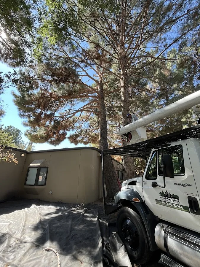 Desert Mountain Tree Service LLC