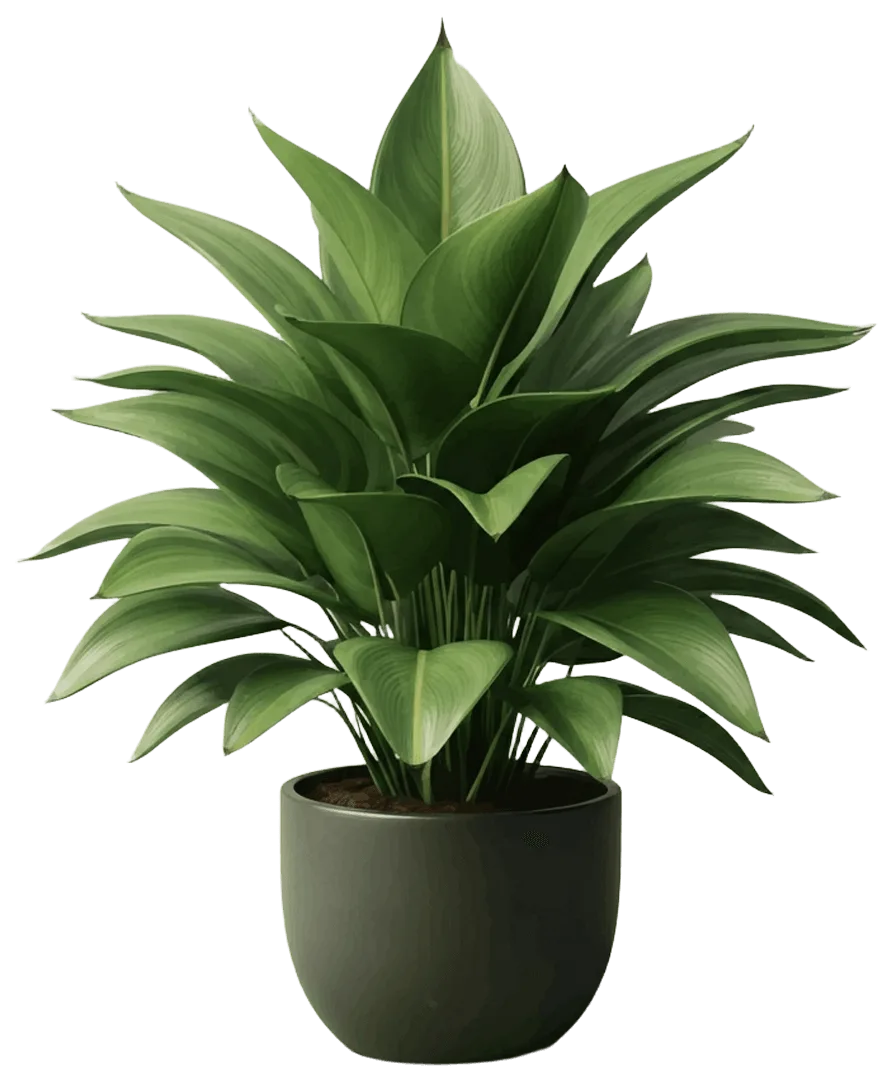 Desert Mountain Tree Service LLC gallery 2
