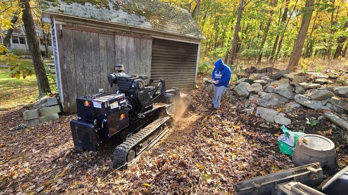 dolo's stump grinding LLC