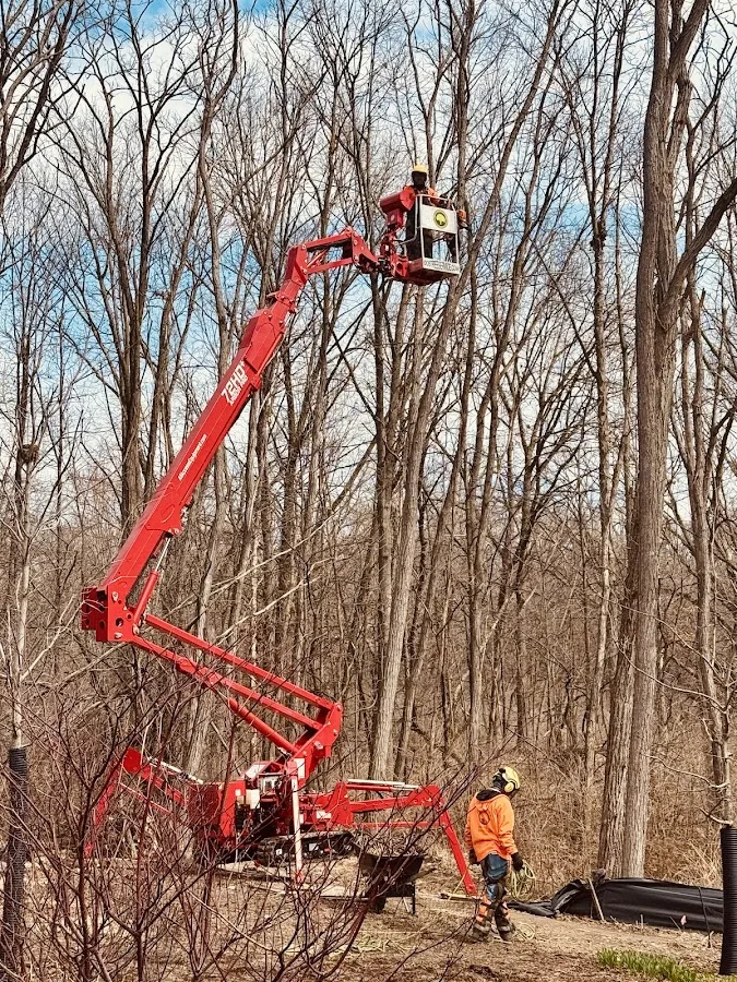 DOS Tree Service LLC