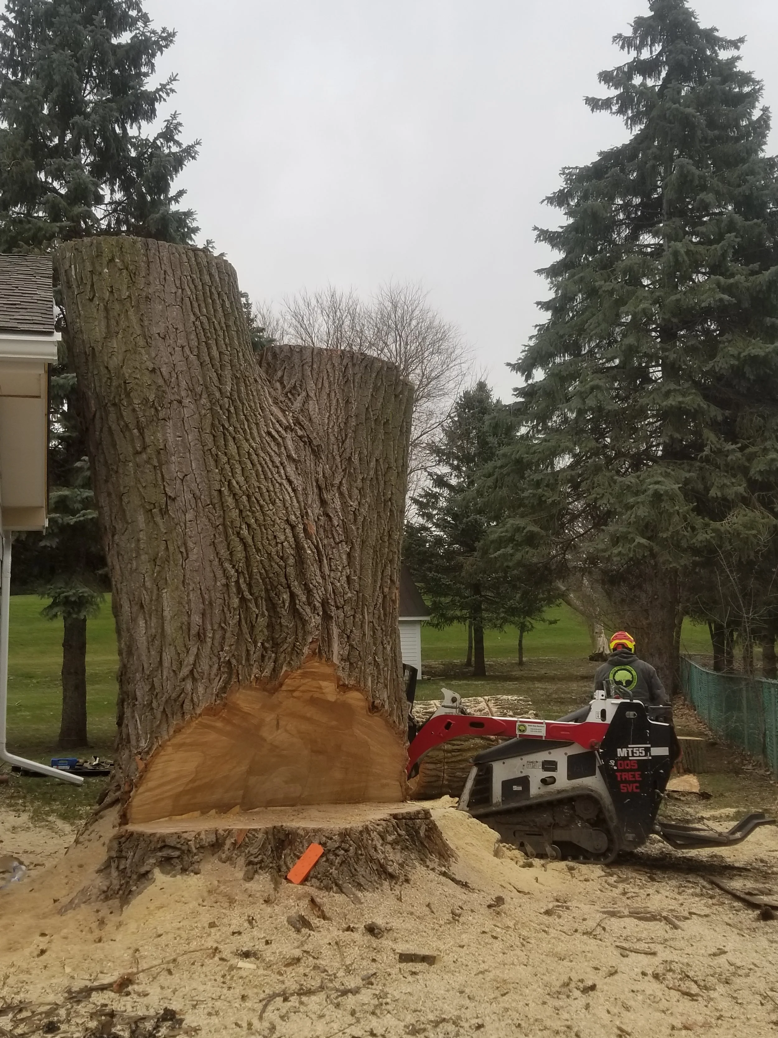 DOS Tree Service LLC gallery 9
