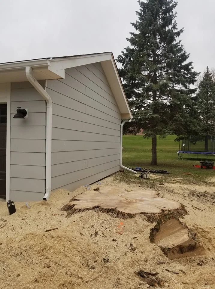 DOS Tree Service LLC gallery 10
