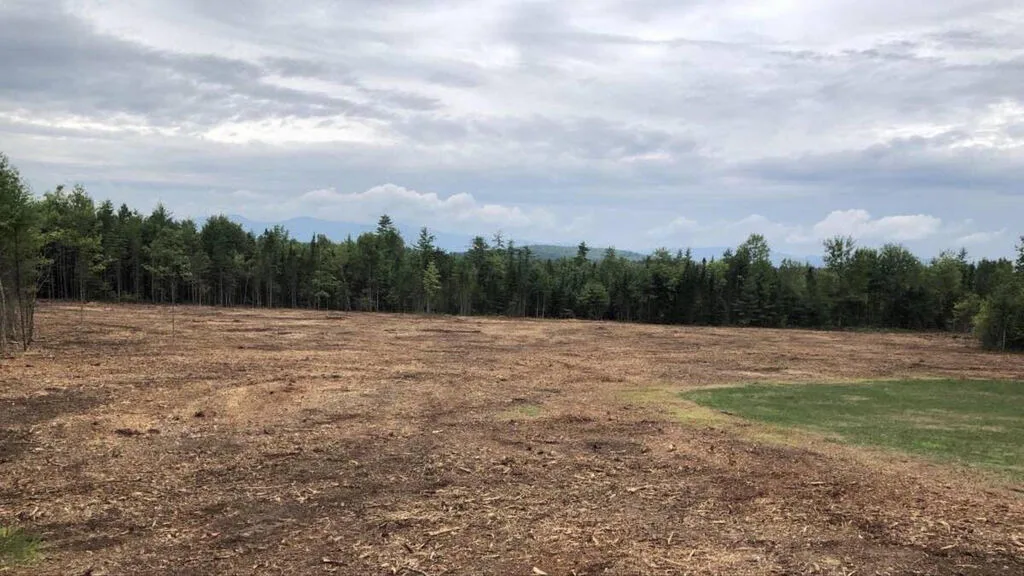 Durham Forestry Mulching Land Clearing and Stump Grinding