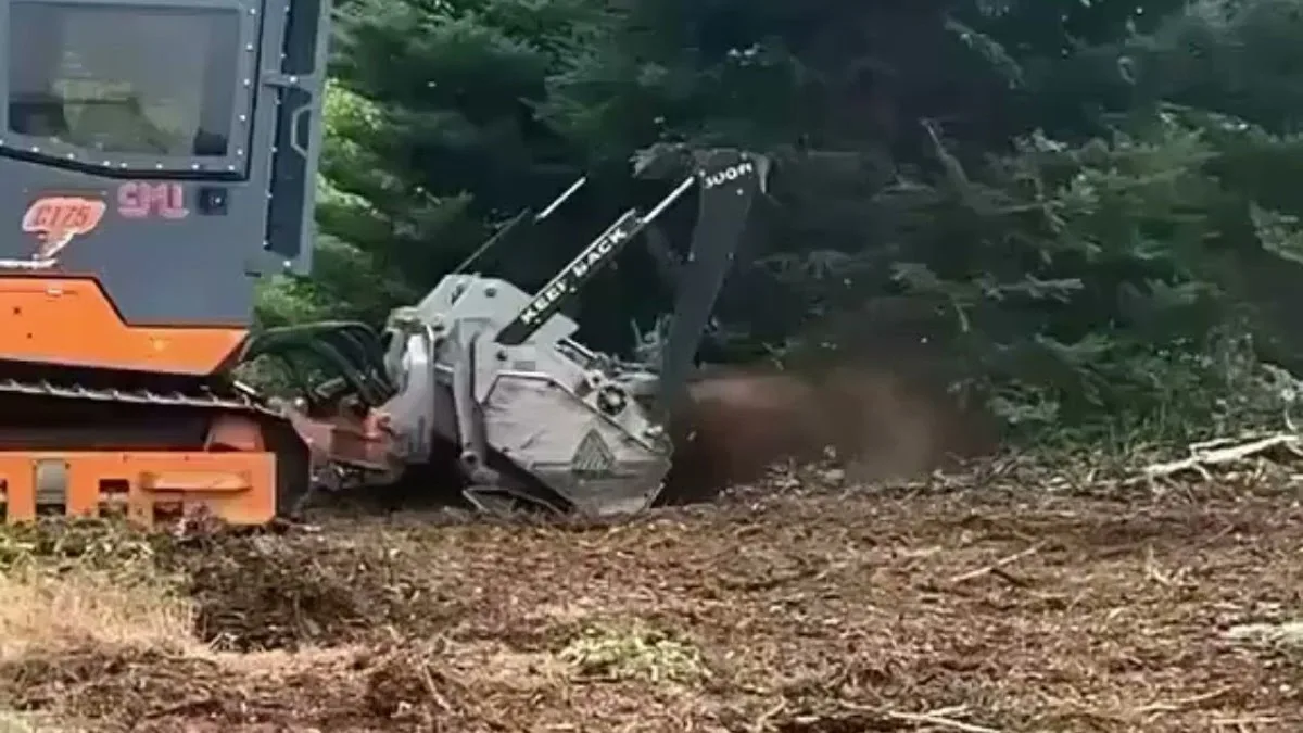 Durham Forestry Mulching Land Clearing and Stump Grinding gallery 2