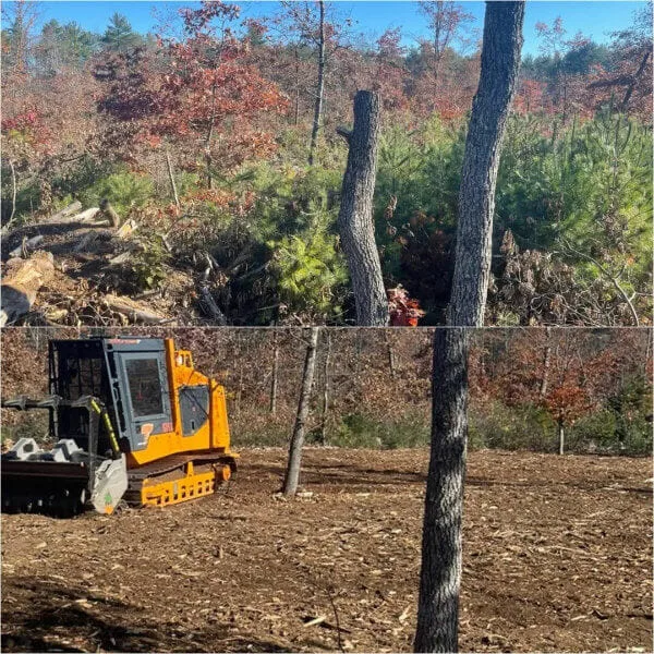Durham Forestry Mulching Land Clearing and Stump Grinding gallery 3
