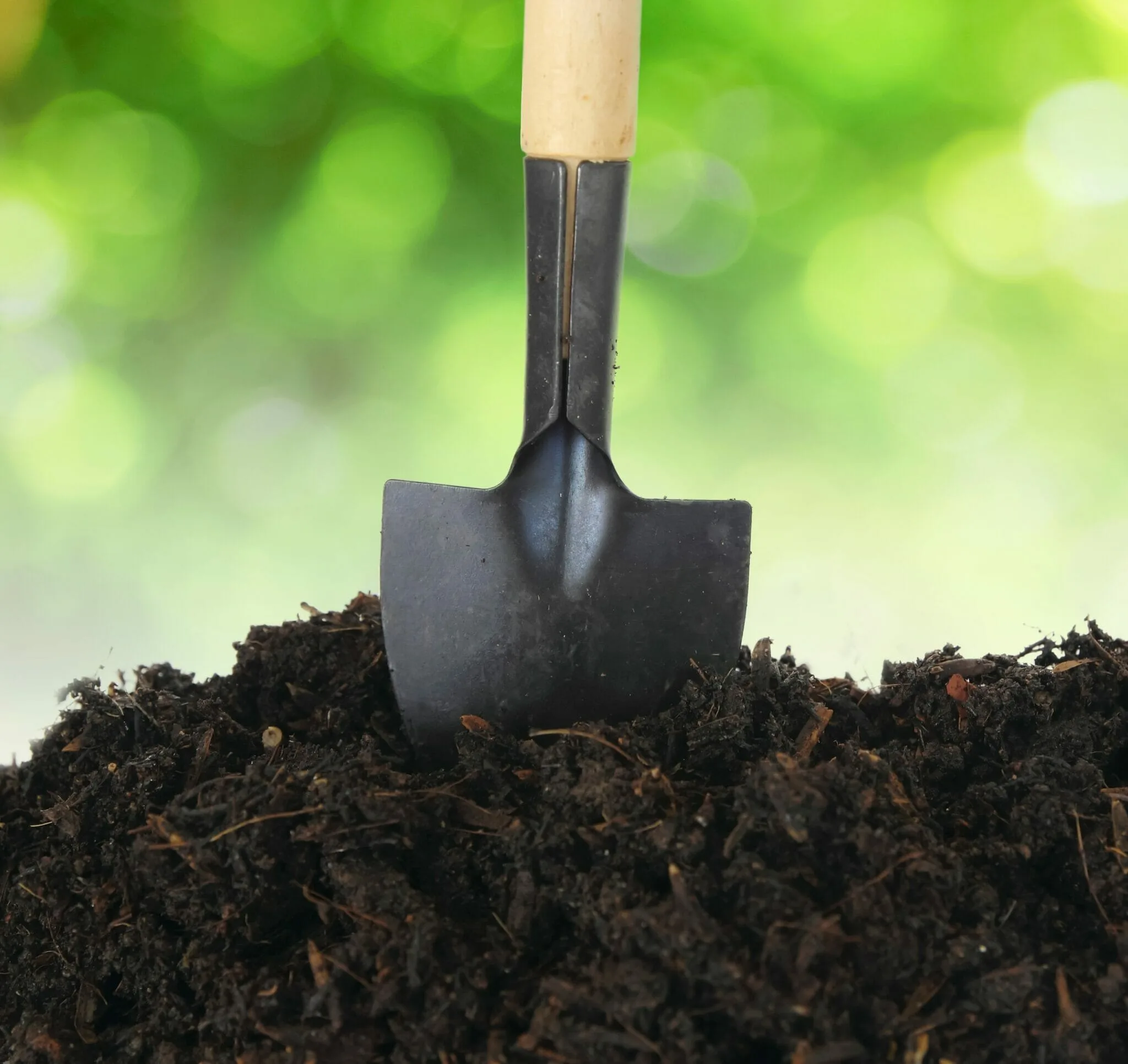 Durham Forestry Mulching Land Clearing and Stump Grinding gallery 4